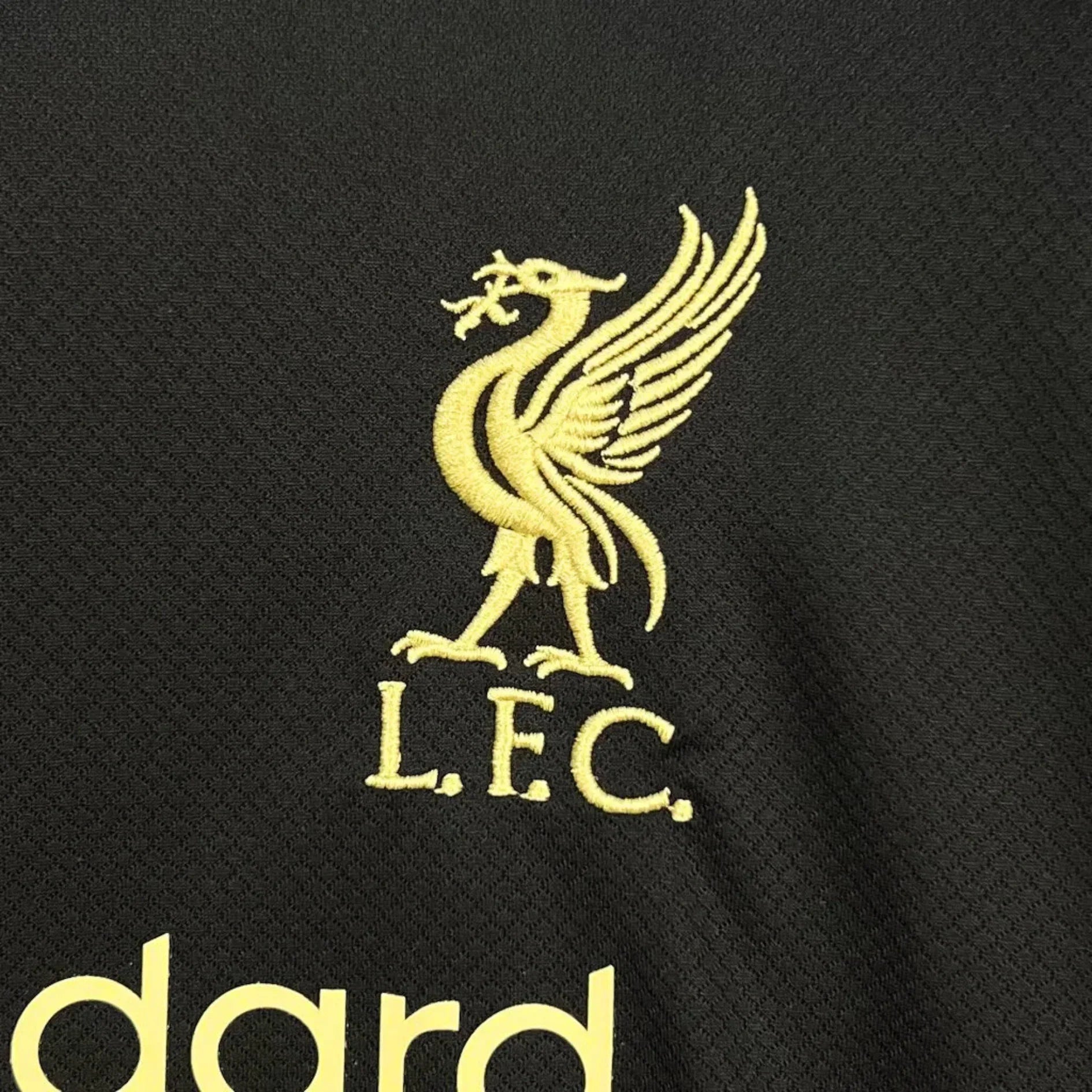 2025/26 Liverpool Black Gold Shirt - Special Edition